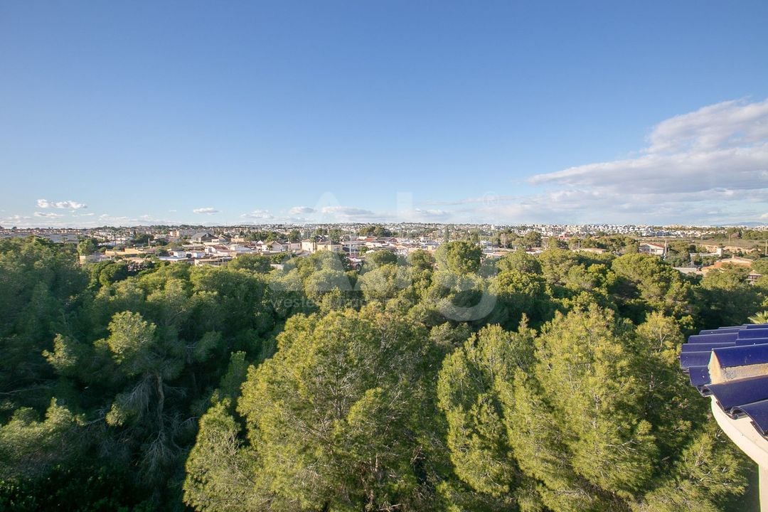 Appartement de 2 chambres à Orihuela Costa - AG151869 - Photo - 30