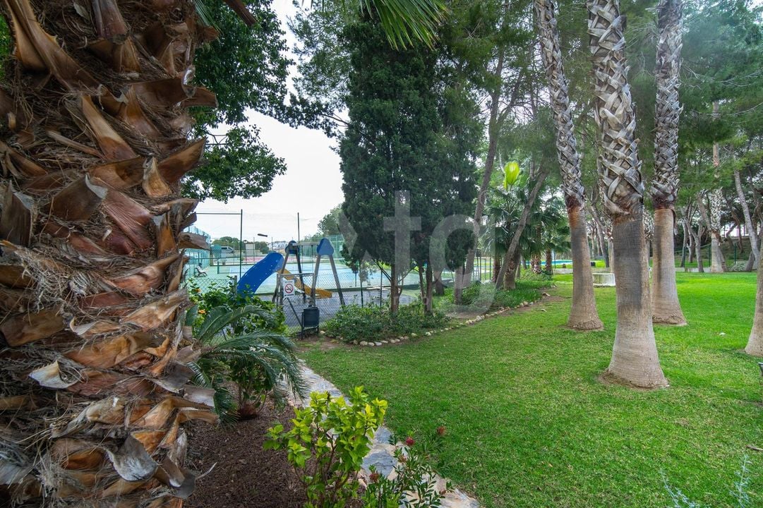 3 bedroom Penthouse in Dehesa de Campoamor - AG151880 - Photo - 28