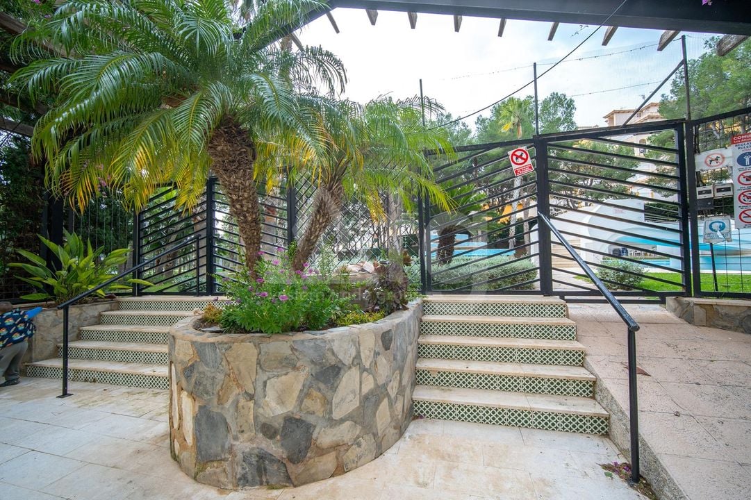 3 bedroom Penthouse in Dehesa de Campoamor - AG151880 - Photo - 29