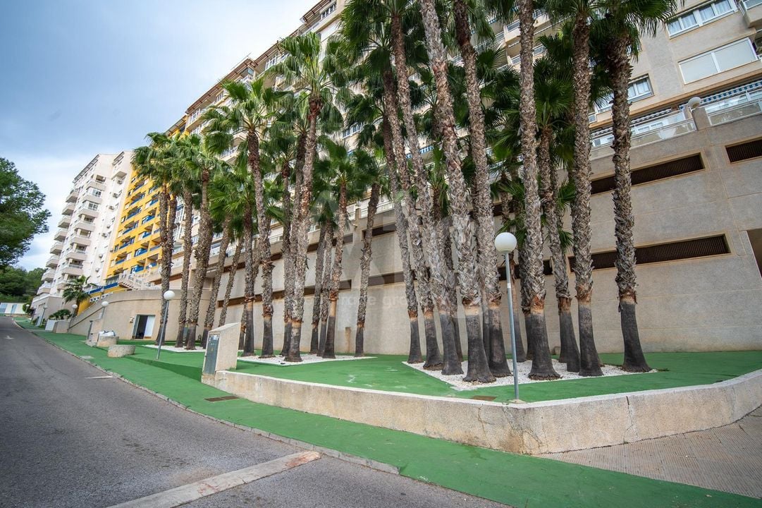 3 bedroom Penthouse in Dehesa de Campoamor - AG151880 - Photo - 30