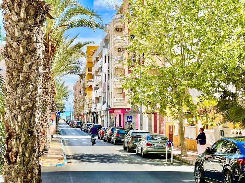 2 bedroom Apartment in Torrevieja - AG151985 - Photo - 2