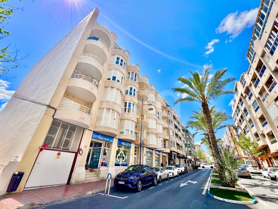 2 bedroom Apartment in Torrevieja - AG151985 - Photo - 23
