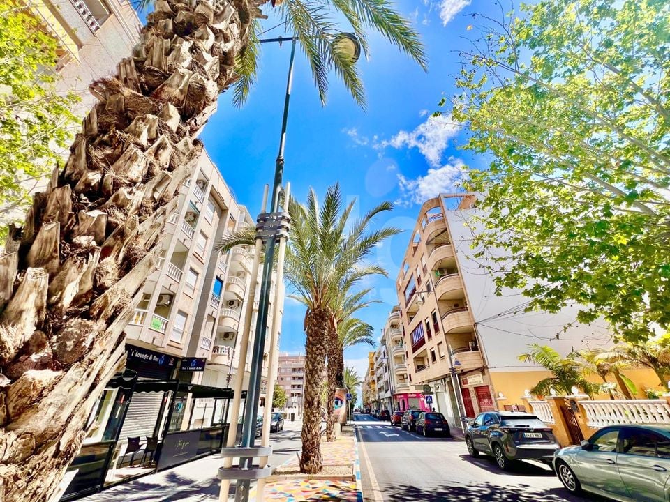 2 bedroom Apartment in Torrevieja - AG151985 - Photo - 22