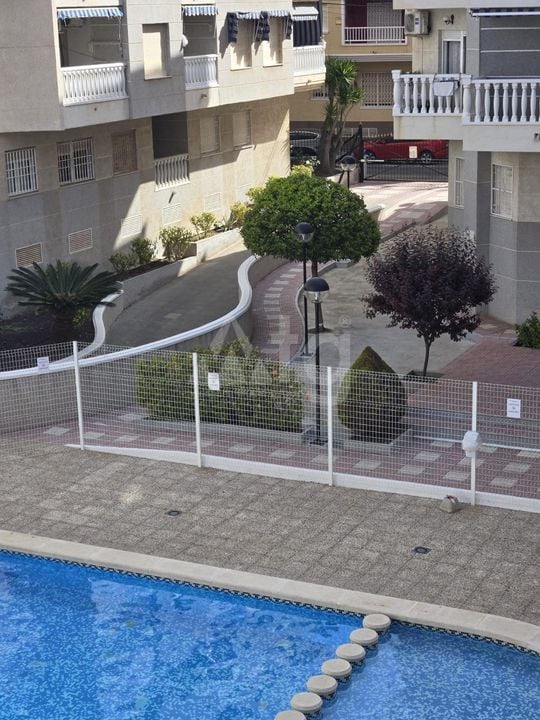 Appartement de 1 chambre à Torrevieja - AG151988 - Photo - 19