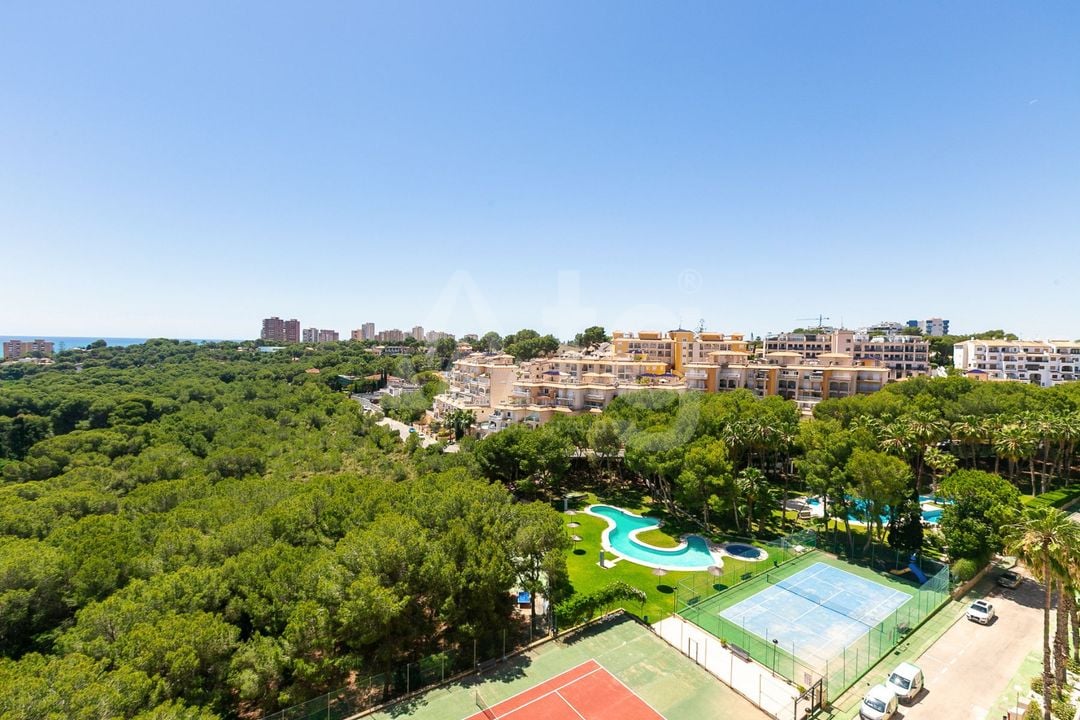 Appartement de 2 chambres à Orihuela Costa - AG152098 - Photo - 31