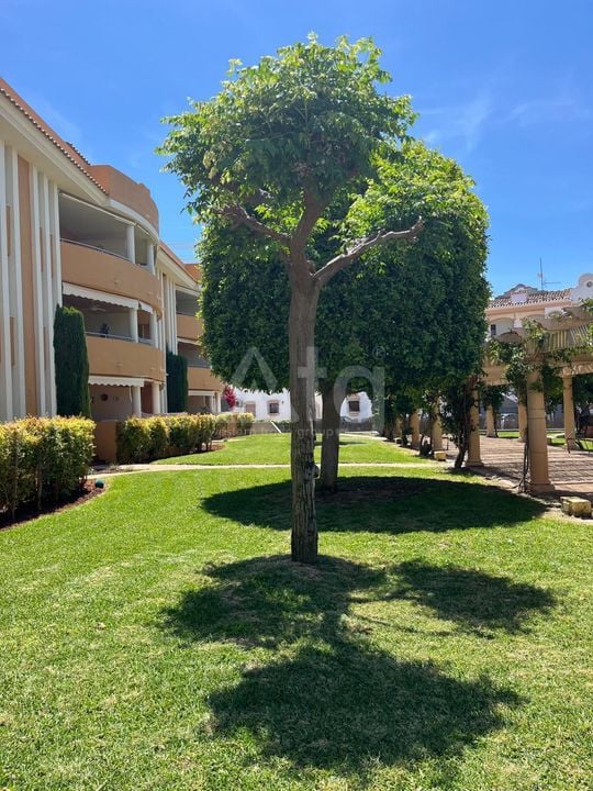 2 bedroom Apartment in Denia - AG152121 - Photo - 2