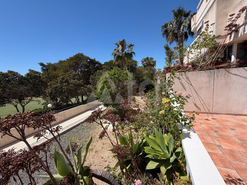 2 bedroom Apartment in Alicante - AG152161 - Photo - 39