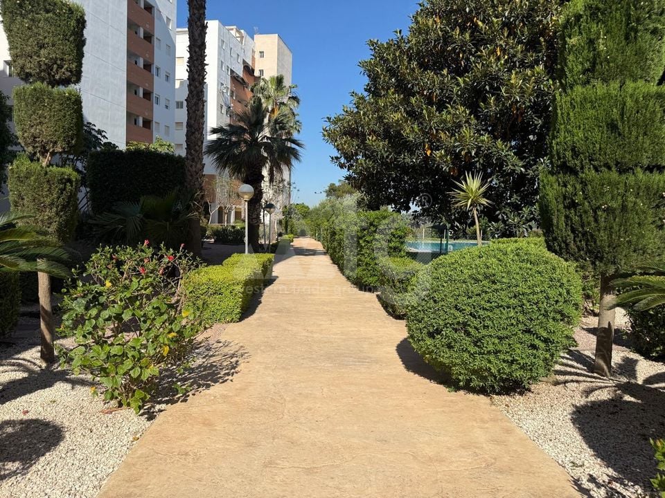 2 bedroom Apartment in Guardamar del Segura - AG152337 - Photo - 33