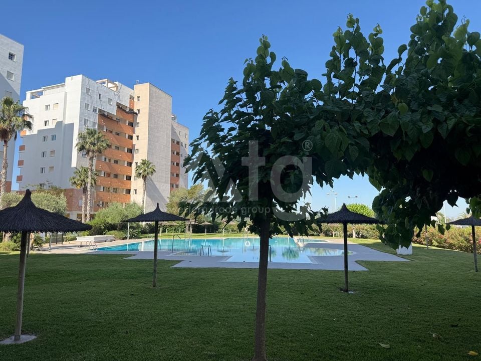 2 bedroom Apartment in Guardamar del Segura - AG152337 - Photo - 35