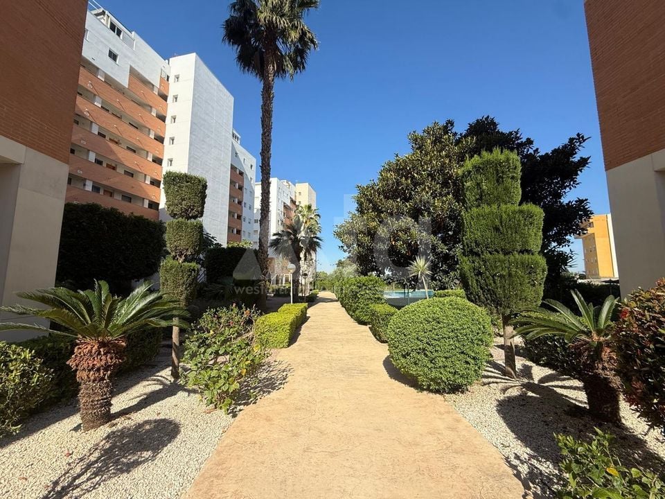 2 bedroom Apartment in Guardamar del Segura - AG152337 - Photo - 3