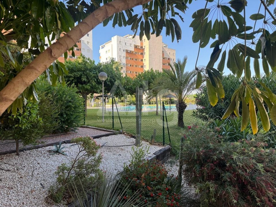 2 bedroom Apartment in Guardamar del Segura - AG152337 - Photo - 34