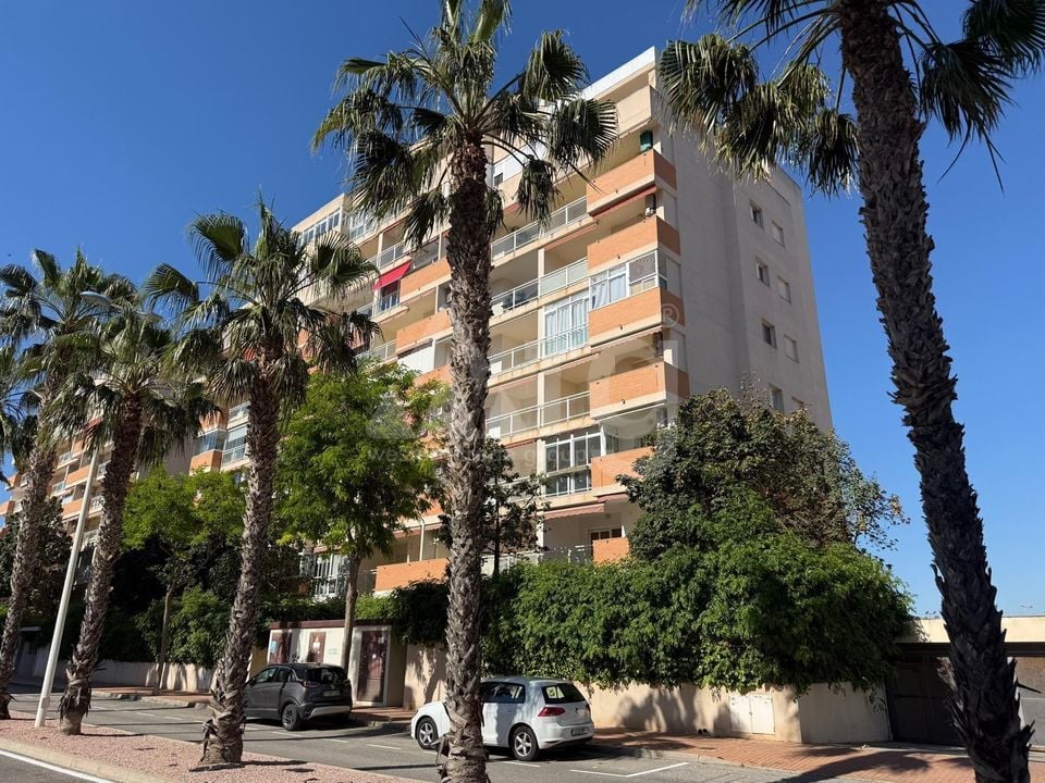 2 bedroom Apartment in Guardamar del Segura - AG152337 - Photo - 1