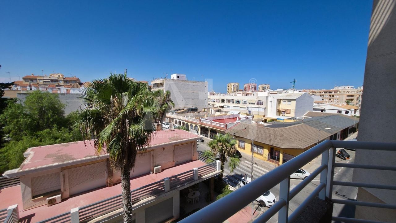 Appartement de 1 chambre à Torrevieja - AG152616 - Photo - 16