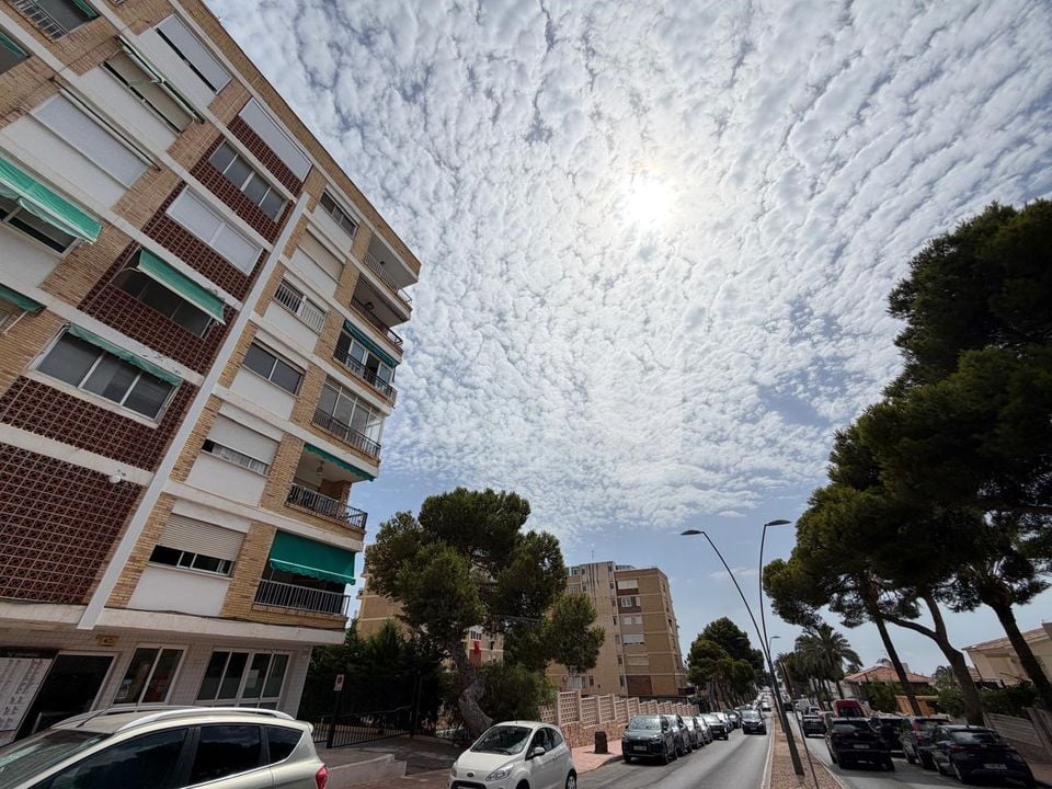 Appartement de 1 chambre à Orihuela Costa - AG152623 - Photo - 2