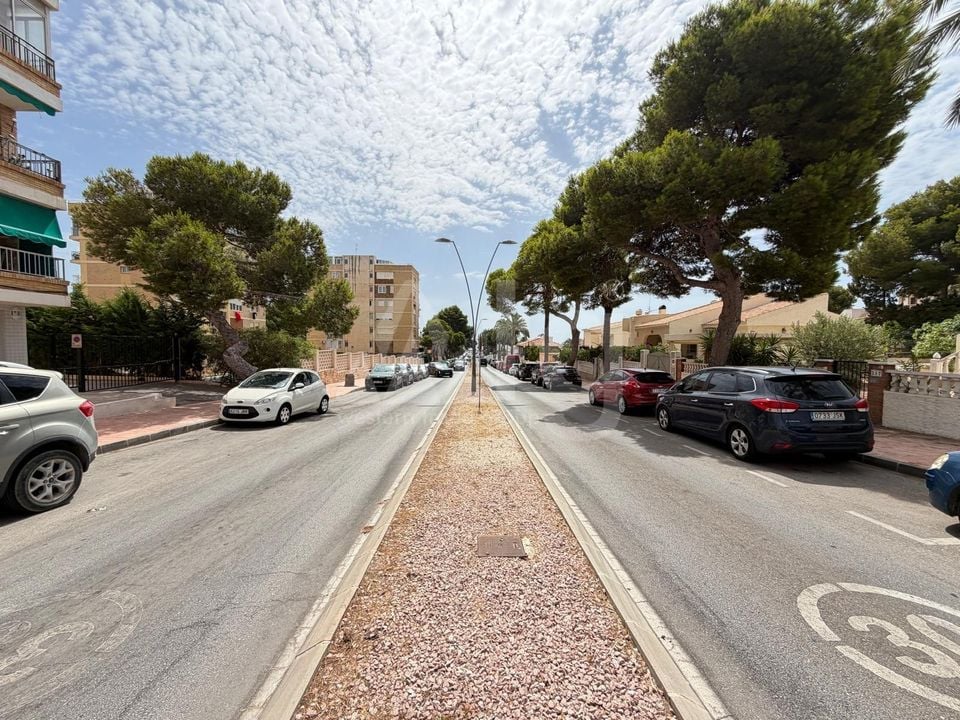 Appartement de 1 chambre à Orihuela Costa - AG152623 - Photo - 42