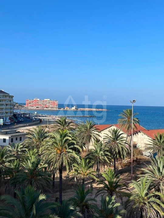Appartement de 2 chambres à Torrevieja - AG152670 - Photo - 14