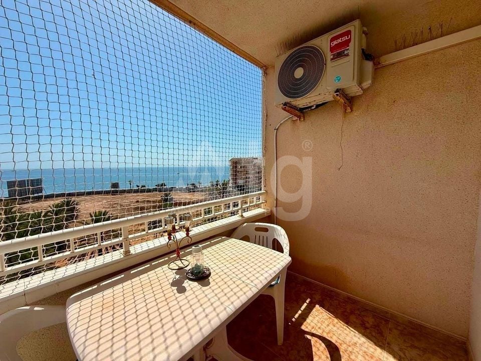 Appartement de 2 chambres à Torrevieja - AG152670 - Photo - 12