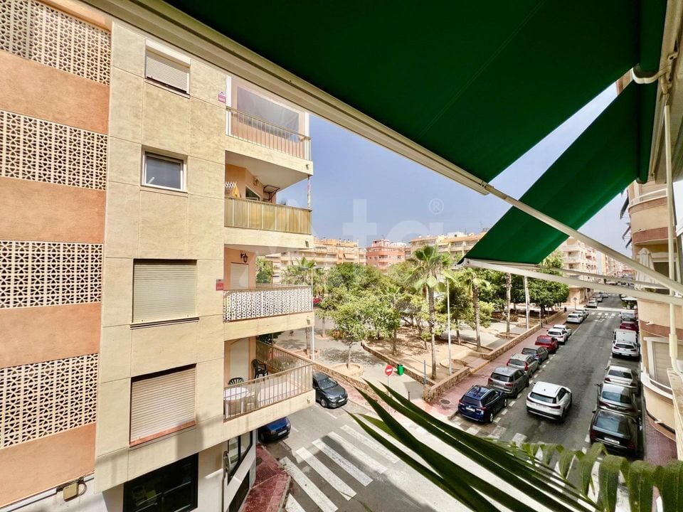 2 bedroom Apartment in Torrevieja - AG152677 - Photo - 17