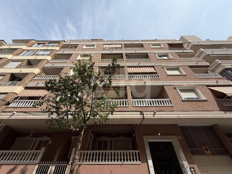 Appartement de 3 chambres à Torrevieja - AG152682 - Photo - 43