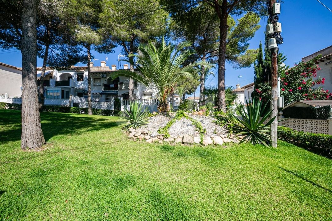 Bungalow de 1 chambre à Torrevieja - AG152843 - Photo - 38