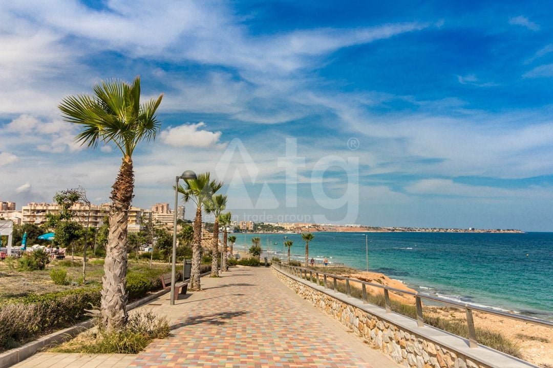 Пентхаус в Пилар де ла Орадада, 2 спальни - AG152858 - Фото - 42