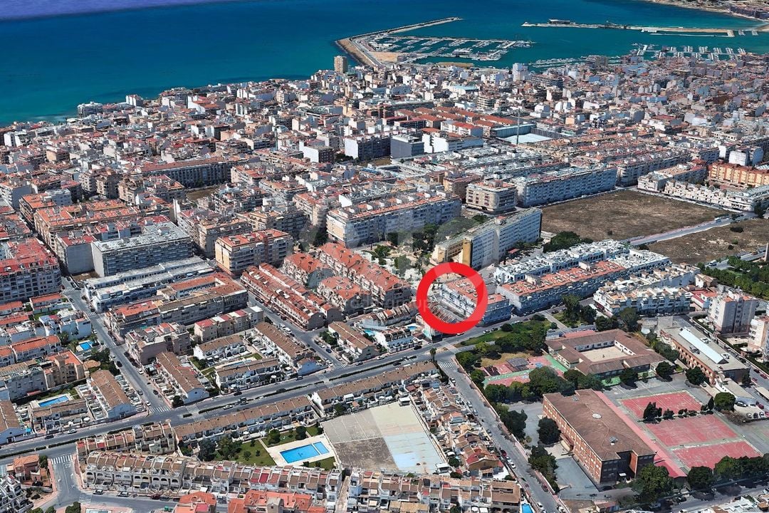 Appartement de 2 chambres à Torrevieja - SV152933 - Photo - 25