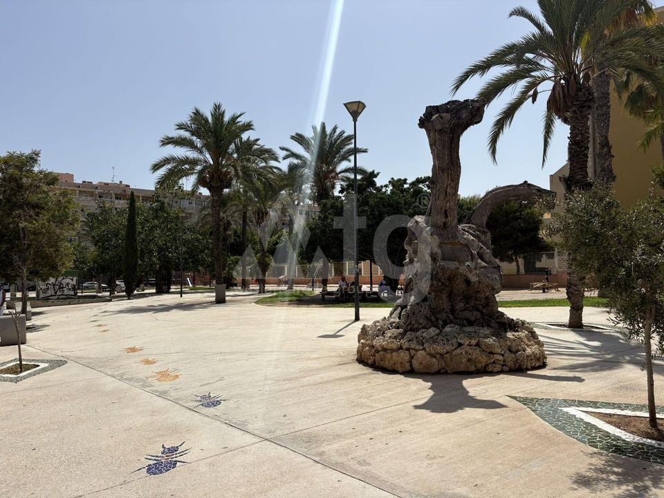 Appartement de 2 chambres à Torrevieja - SV152933 - Photo - 27