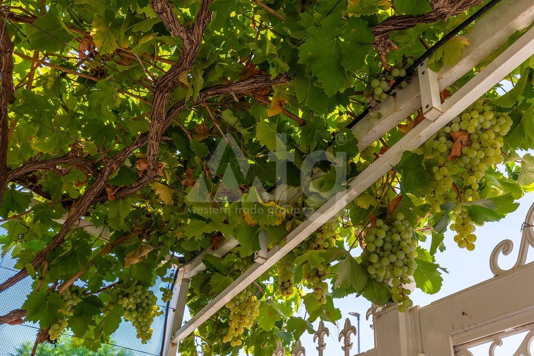 3 bedroom Villa in Los Alcázares - GRT152973 - Photo - 27