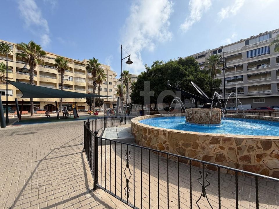 2 bedroom Apartment in Torrevieja - AG153052 - Photo - 31
