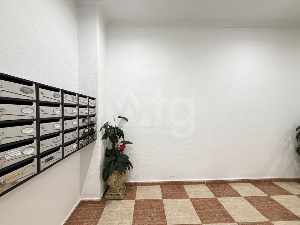 2 bedroom Apartment in Torrevieja - AG153215 - Photo - 24