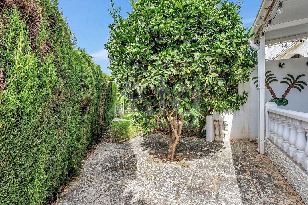 Villa de 2 chambres à Playa Flamenca - AG153217 - Photo - 27