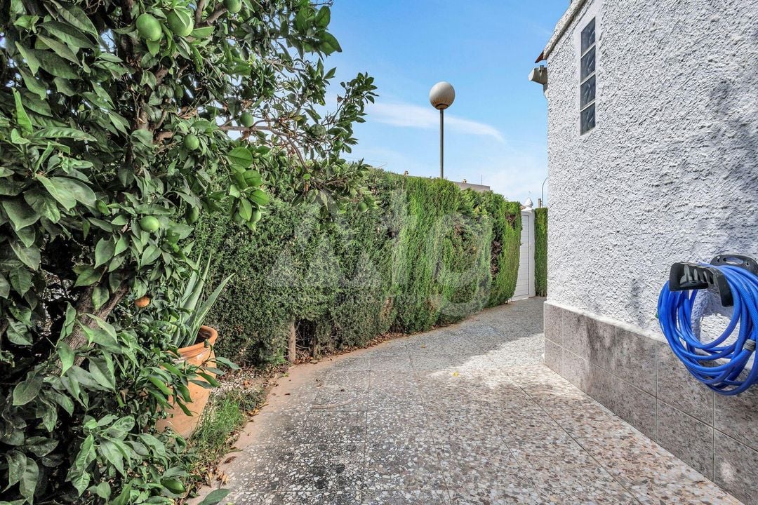 Villa de 2 chambres à Playa Flamenca - AG153217 - Photo - 29