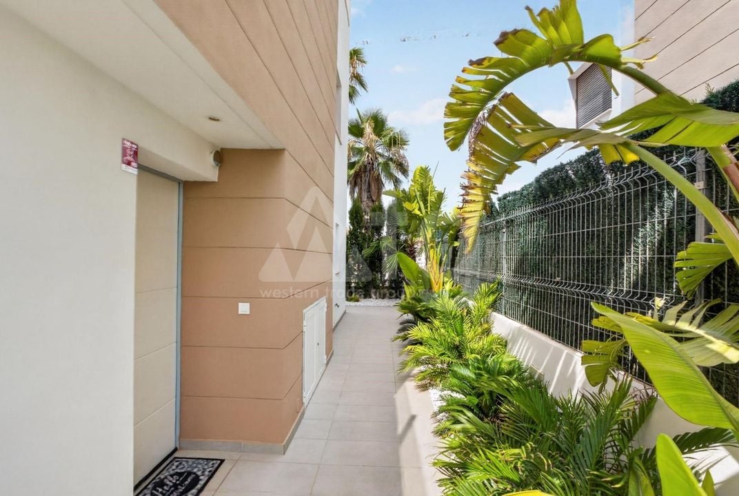 3 Schlafzimmer Villa in Guardamar del Segura - AG158634 - Foto - 37