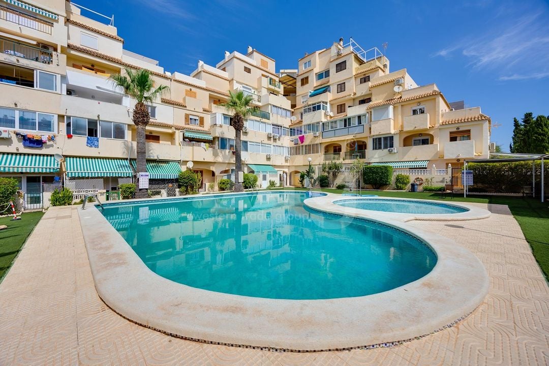 Appartement de 1 chambre à Torrevieja - MS153383 - Photo - 2