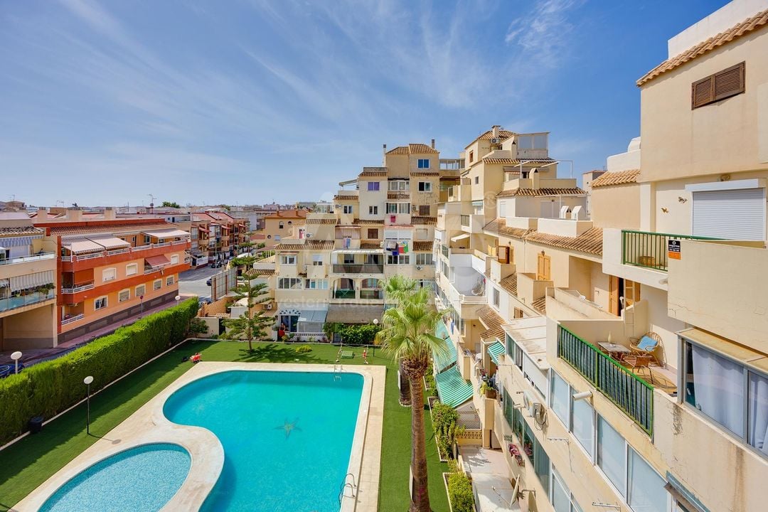 Appartement de 1 chambre à Torrevieja - MS153383 - Photo - 17