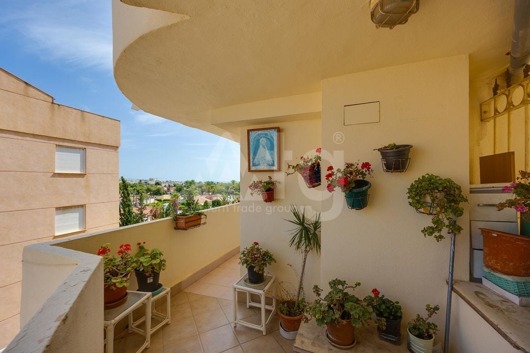 Appartement de 1 chambre à Torrevieja - MS153383 - Photo - 20