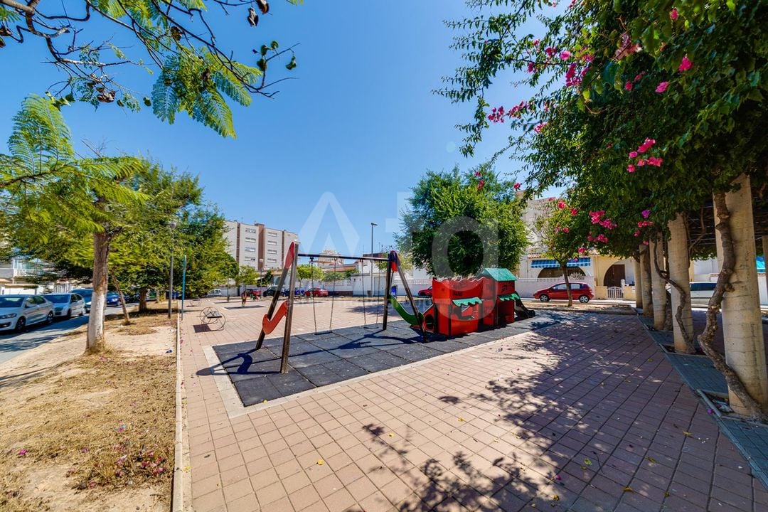 Appartement de 1 chambre à Torrevieja - MS153383 - Photo - 29
