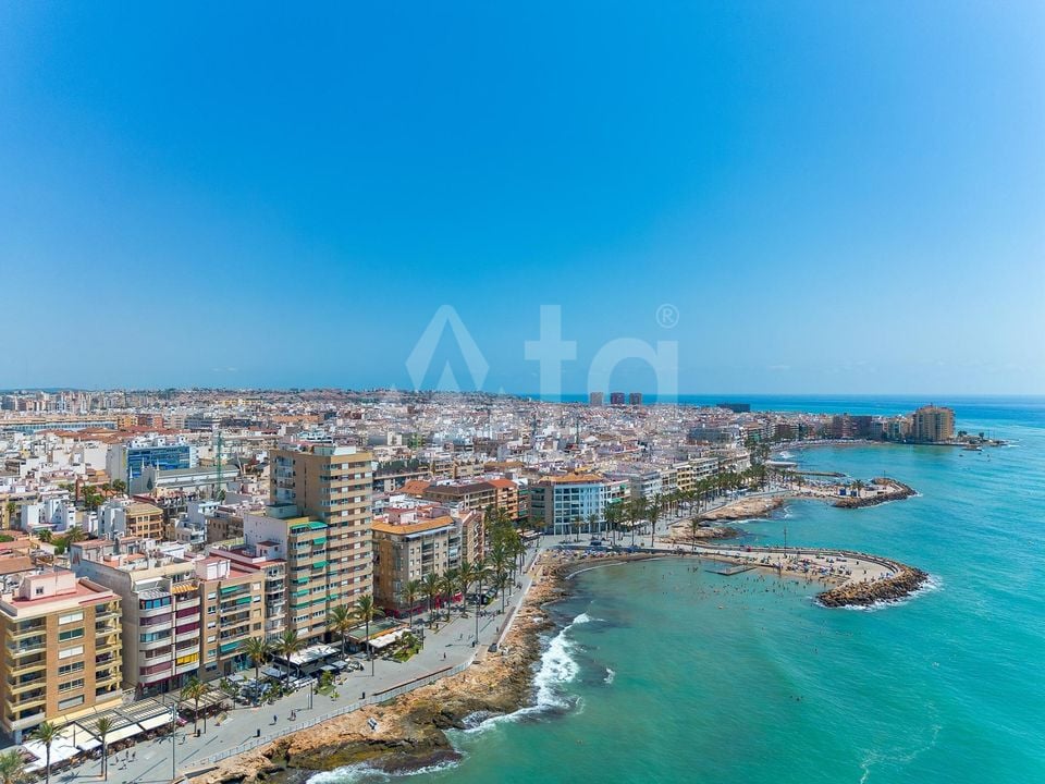 Appartement de 1 chambre à Torrevieja - MS153383 - Photo - 36