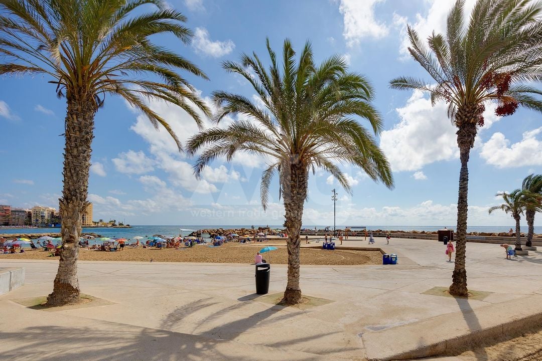 Appartement de 1 chambre à Torrevieja - MS153383 - Photo - 34