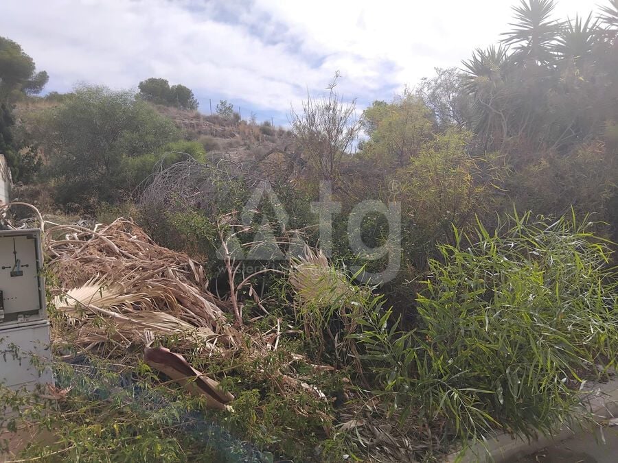 Parcela de  en Algorfa- MP153417 - Foto - 1