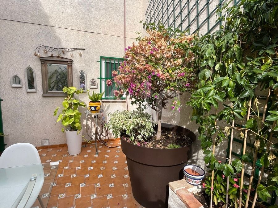 2 bedroom Villa in Rojales - MP153421 - Photo - 15