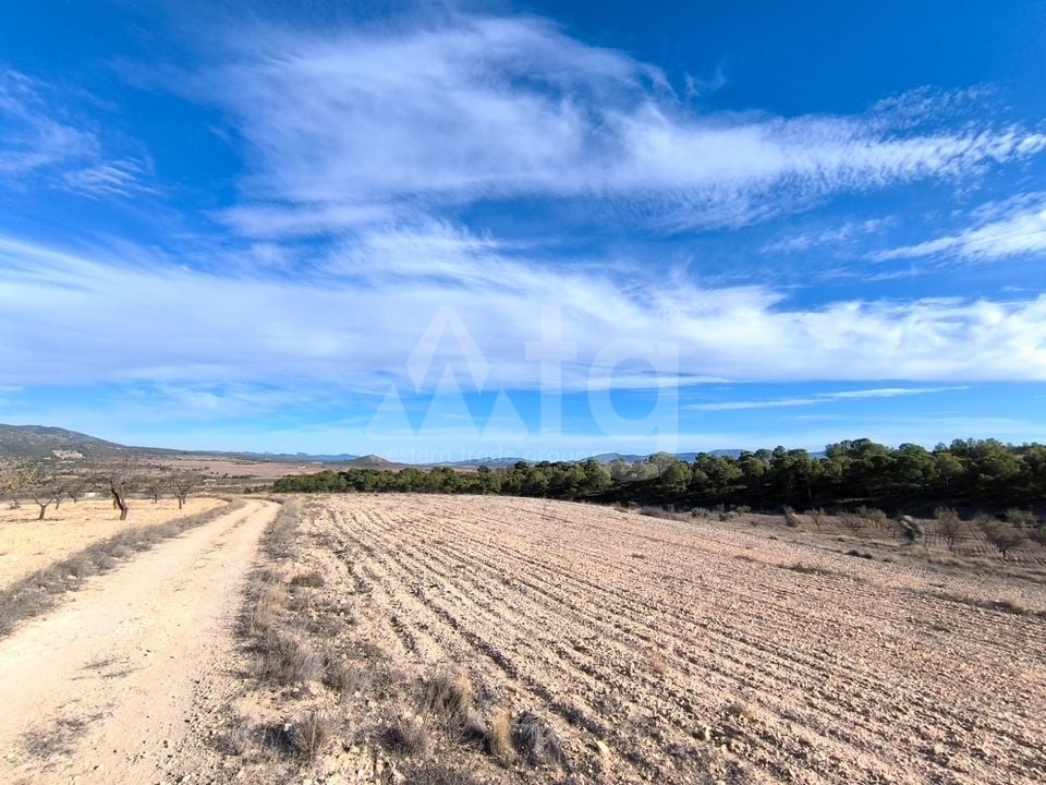  Plot in Murcia- SIP153469 - Photo - 10