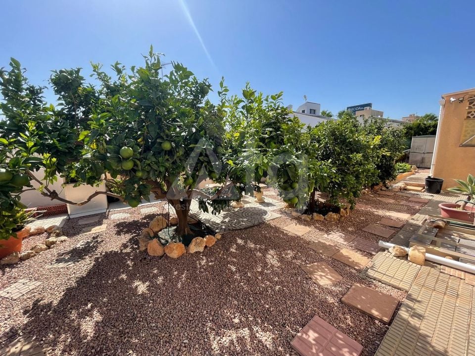 Villa de 4 chambres à Cabo Roig - LR153623 - Photo - 29
