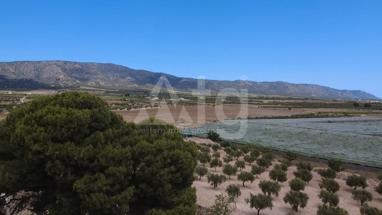 Adosado de 3 habitaciones en Pinoso - EDP153697 - Foto - 28