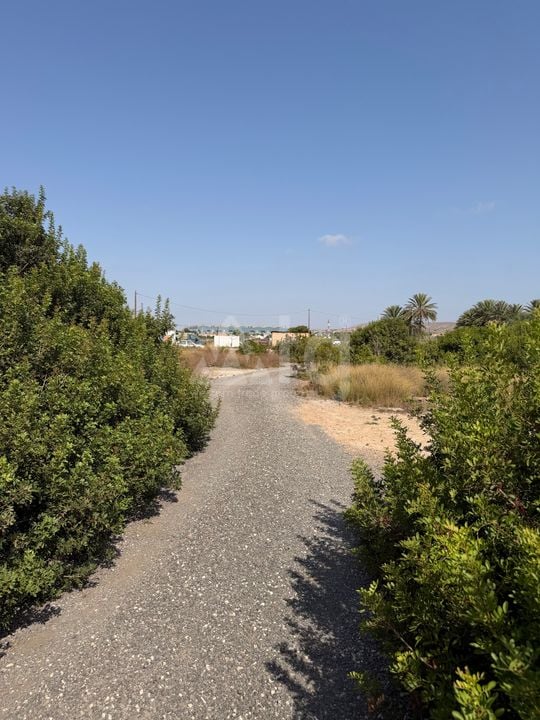 Parcela de  en Alicante- PVJ153704 - Foto - 6