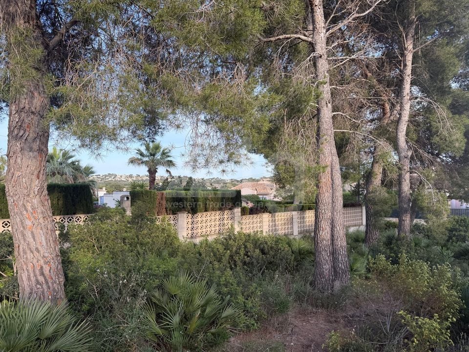 Parcela de  en Jávea- PVJ153712 - Foto - 4