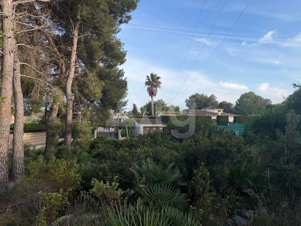 Parcela de  en Jávea- PVJ153712 - Foto - 5