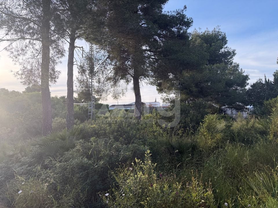 Parcela de  en Jávea- PVJ153712 - Foto - 6