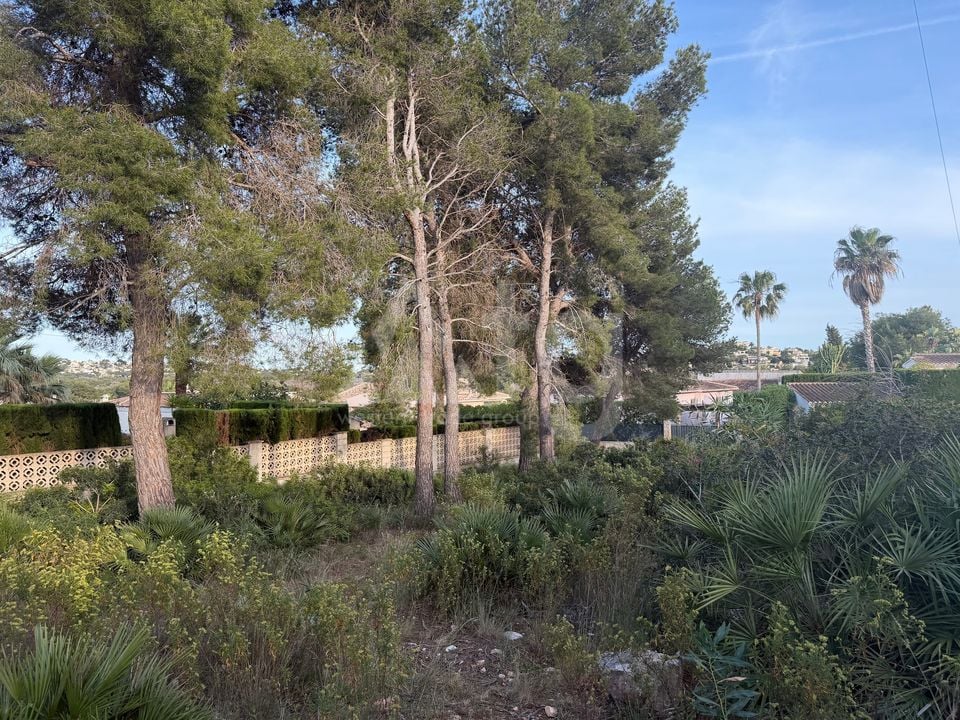 Parcela de  en Jávea- PVJ153712 - Foto - 7