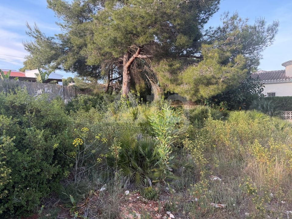 Parcela de  en Jávea- PVJ153712 - Foto - 8